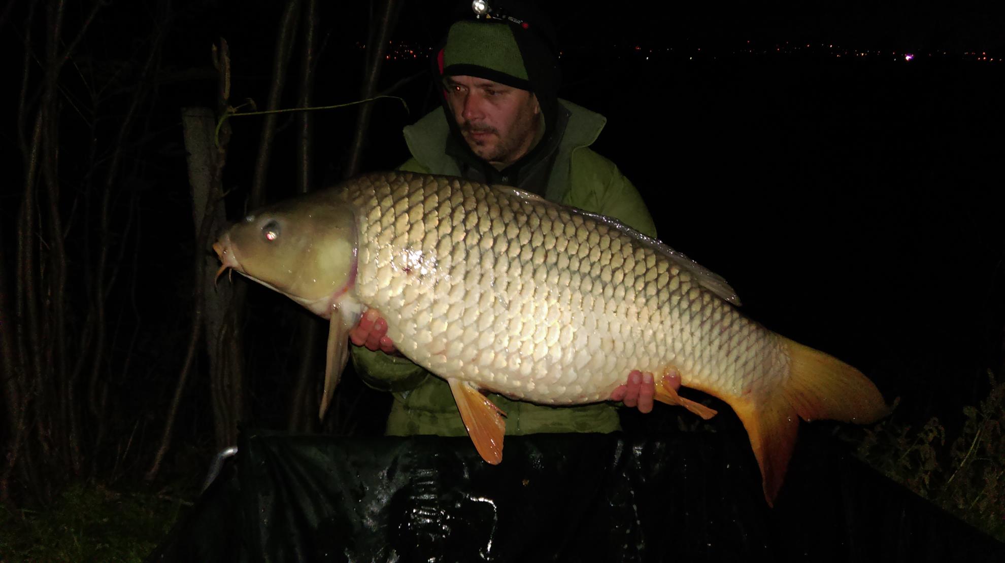 final de sezon 2015  - 16,1 kg